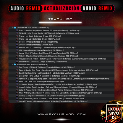 ACTUALIZACIÓN FEBRERO 2026 (Audio) 🎧📀